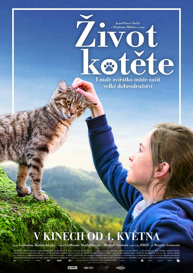 Život kotěte - Plakáty