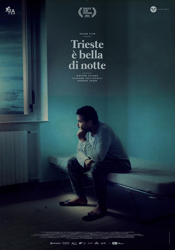 Trieste Shines at Night - Posters