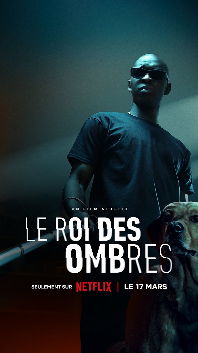 Le Roi des Ombres - Plakate