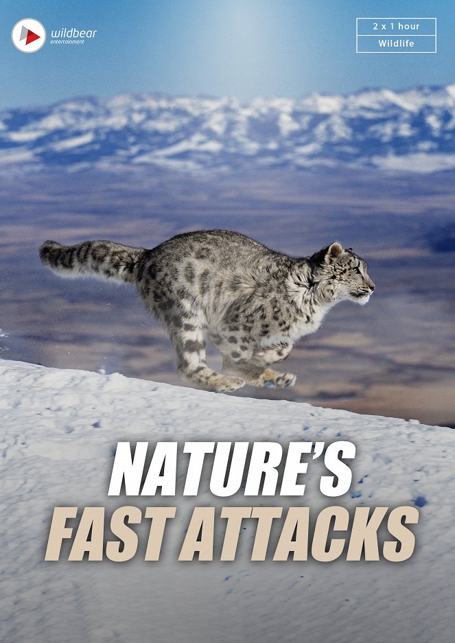 Bleskové útoky v přírodě - Plakáty