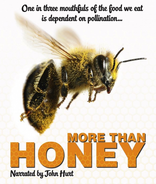 More Than Honey - Posters