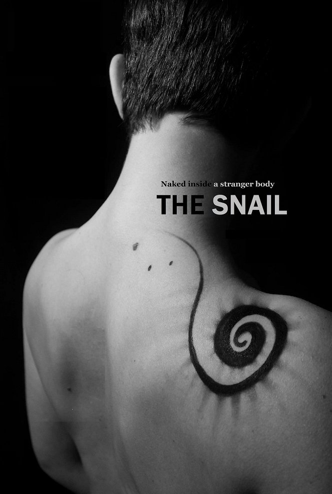 The Snail - Carteles