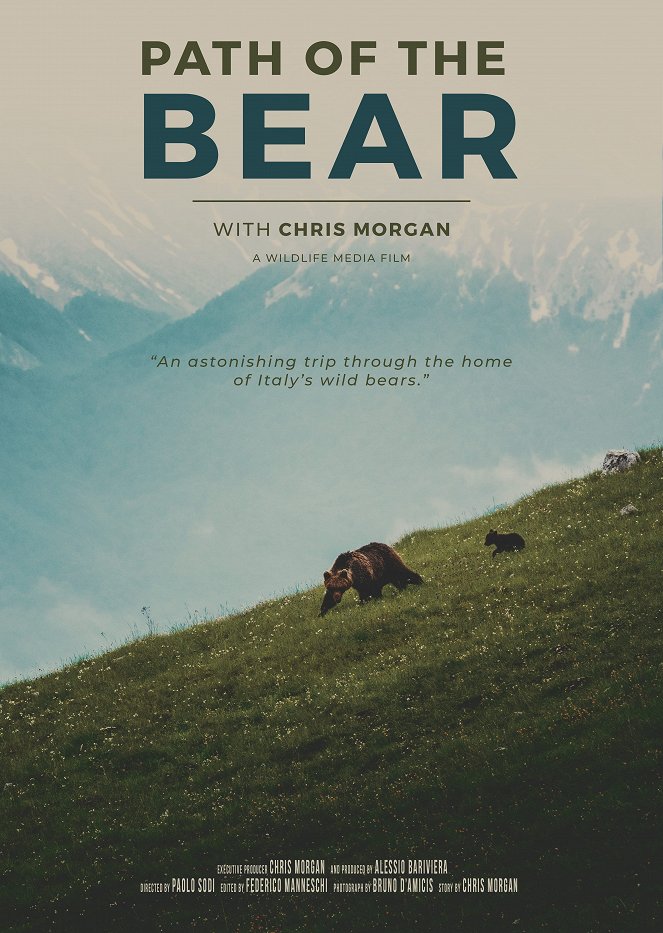 Path of the Bear - Posters
