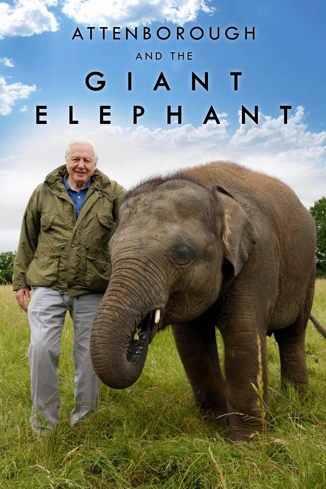 Attenborough and the Giant Elephant - Julisteet