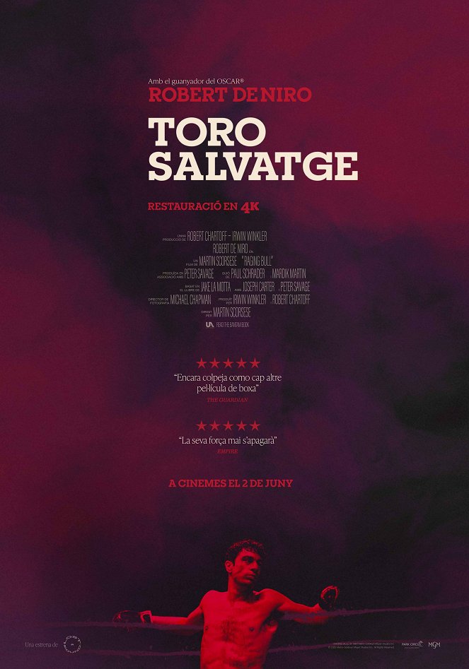 Toro salvaje - Carteles