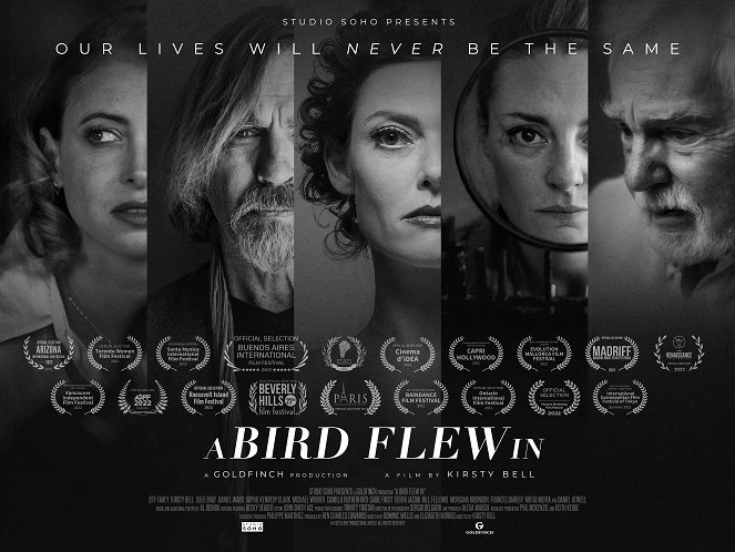 A Bird Flew In - Posters
