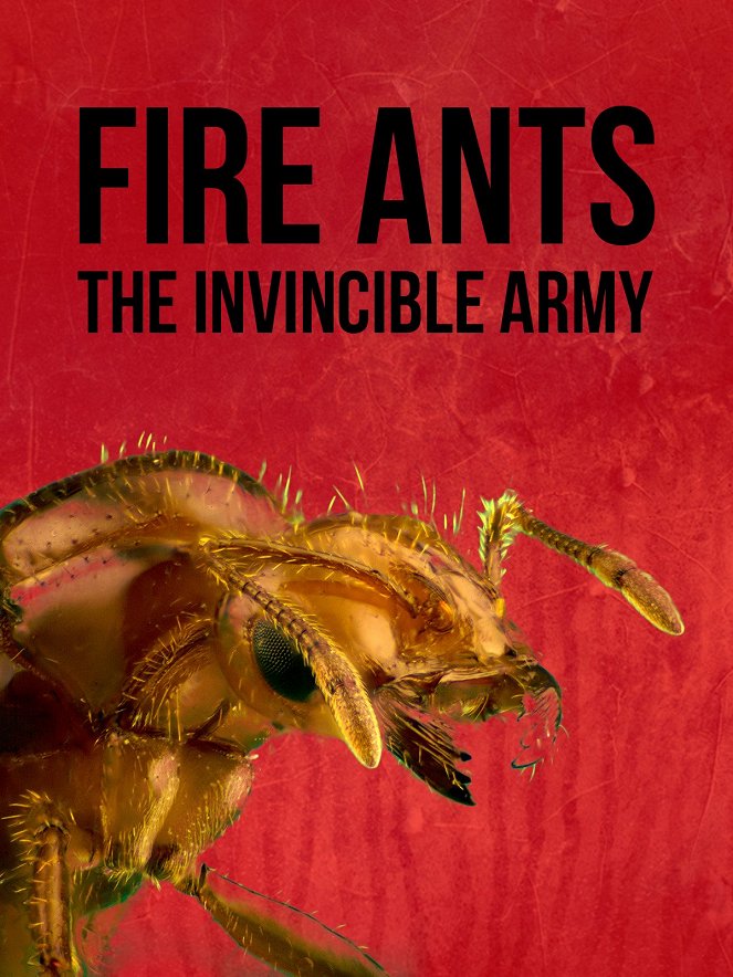 Fire Ants 3D: The Invincible Army - Julisteet