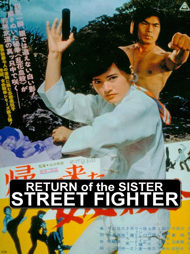 The Return of the Sister Street Fighter - Posters