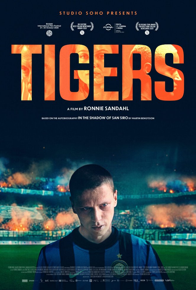 Tigers - Posters