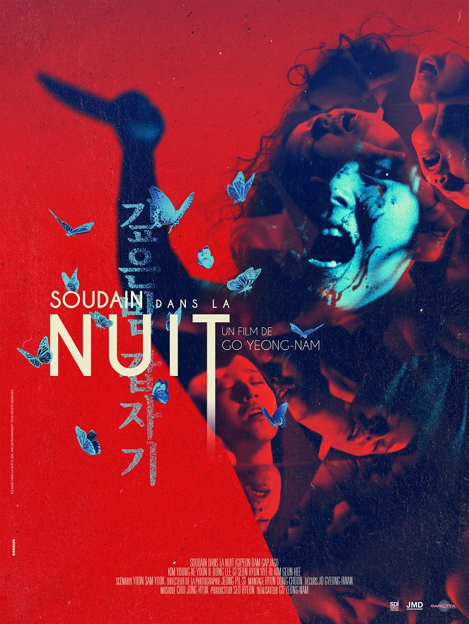 Soudain dans la nuit - Affiches