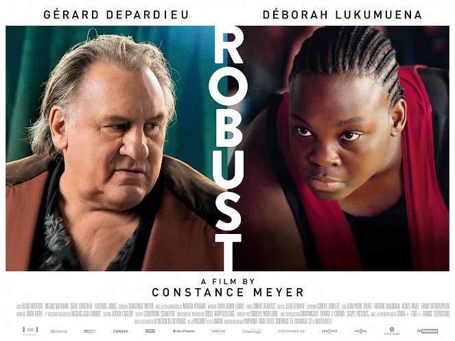 Robust - Posters