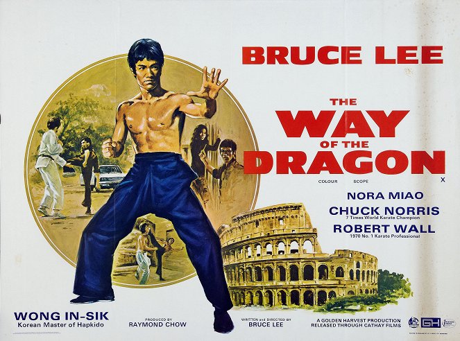 The Way of the Dragon - Posters