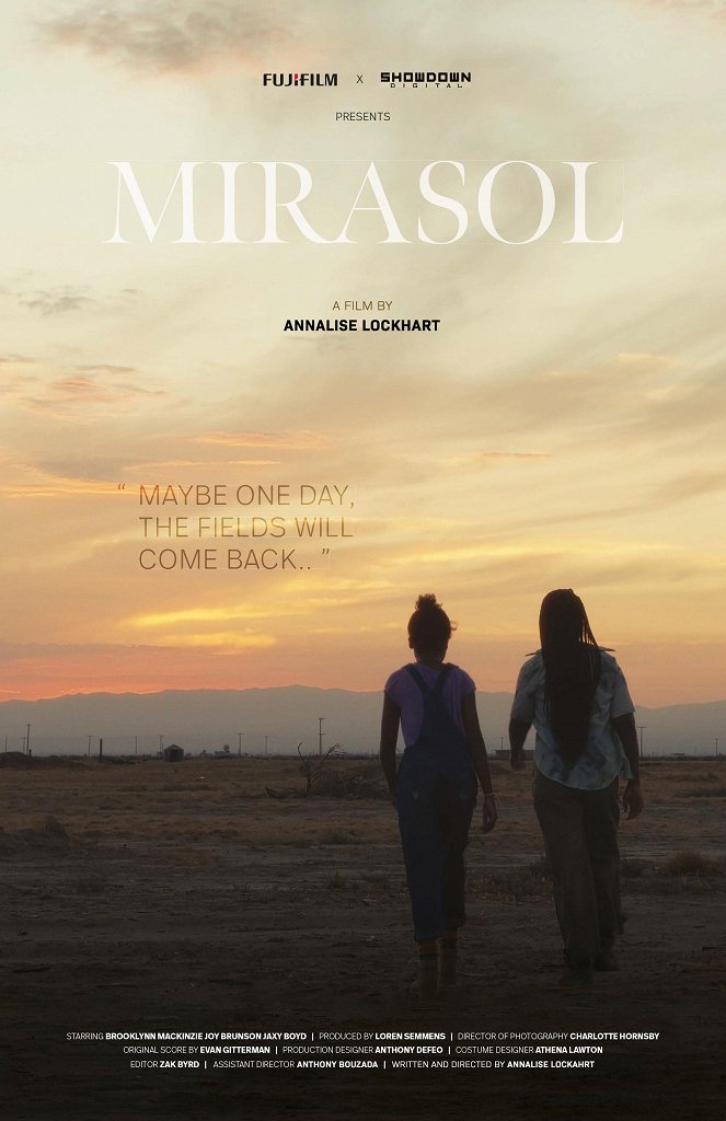 Mirasol - Carteles