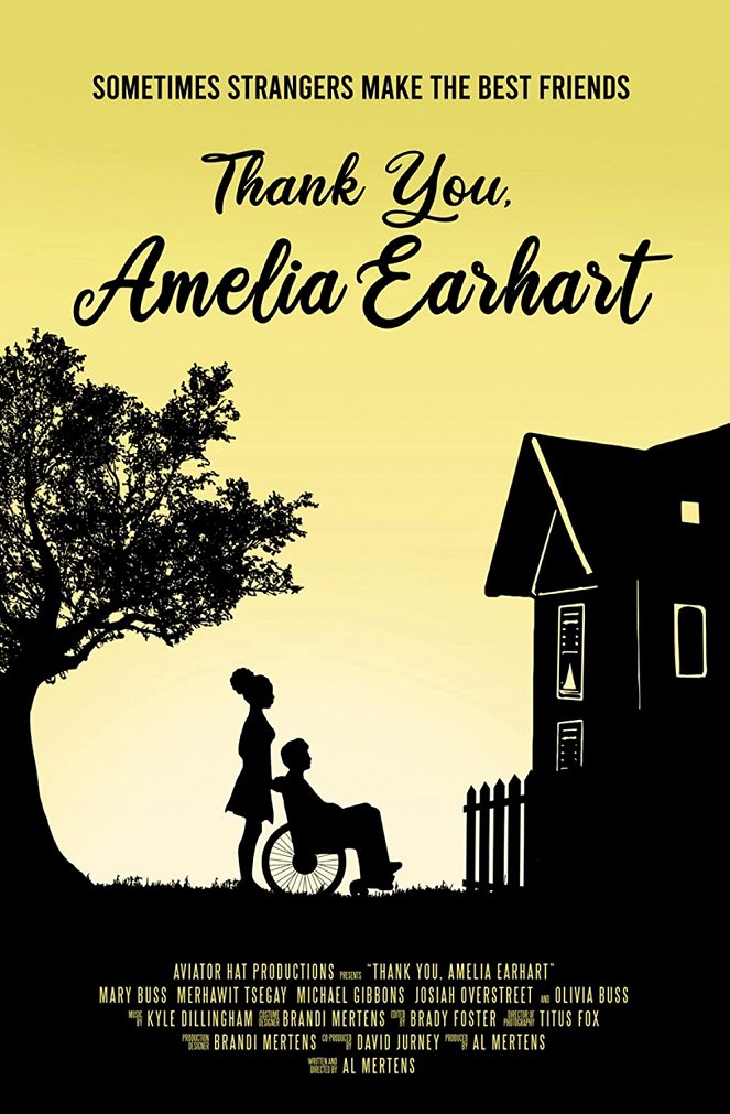 Thank You, Amelia Earhart - Carteles