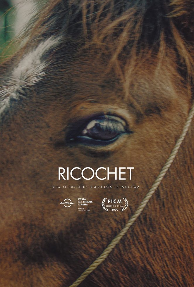 Ricochet - Plakate