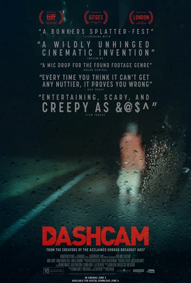 Dashcam - Plakate
