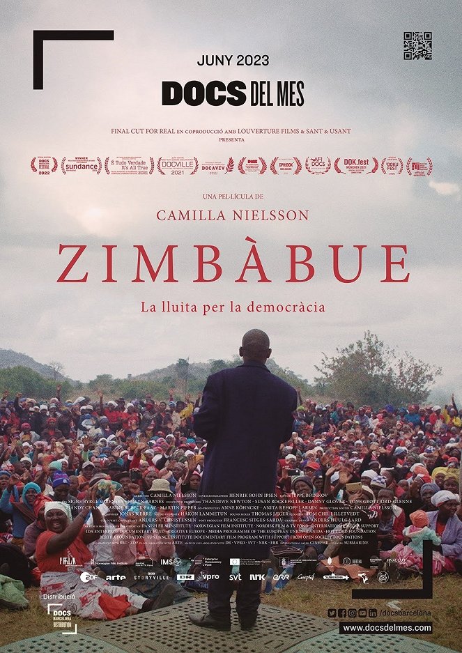Zimbábue. La lucha por la democracia - Carteles