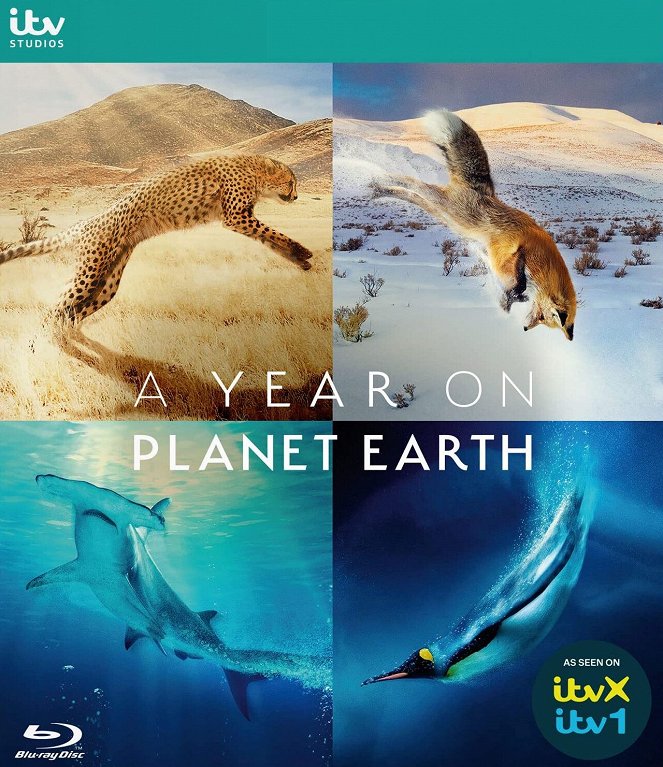 A Year on Planet Earth - Julisteet