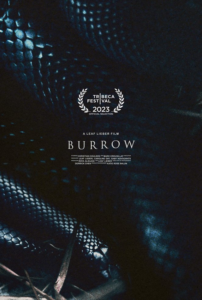 Burrow - Plagáty