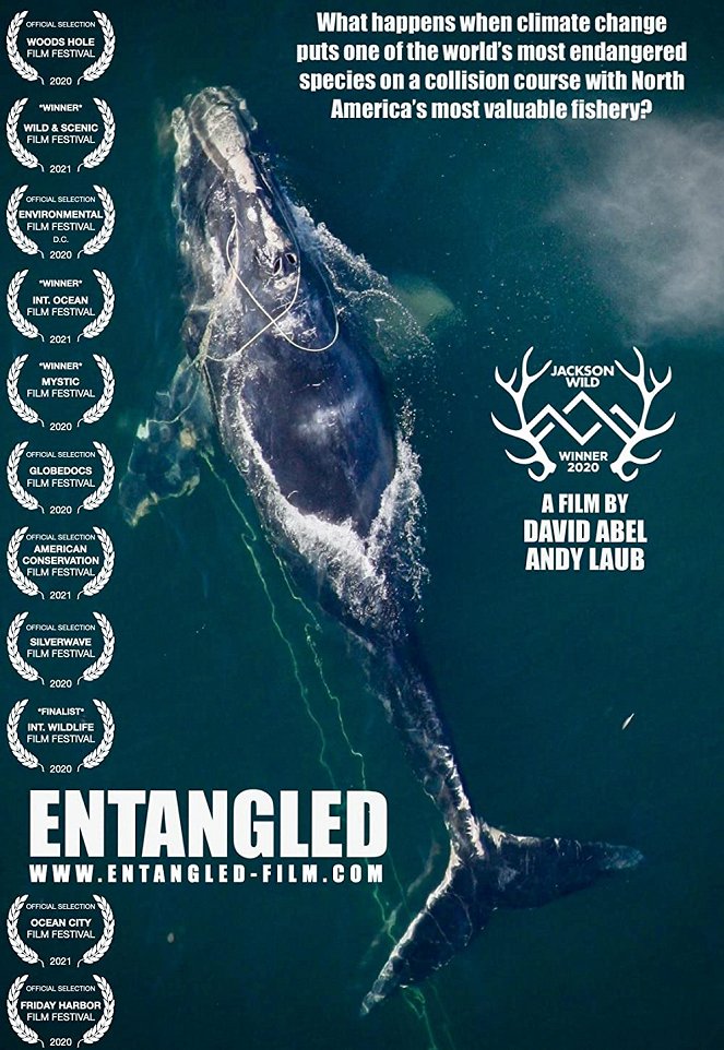 Entangled: The Race to Save Right Whales from Extinction - Affiches
