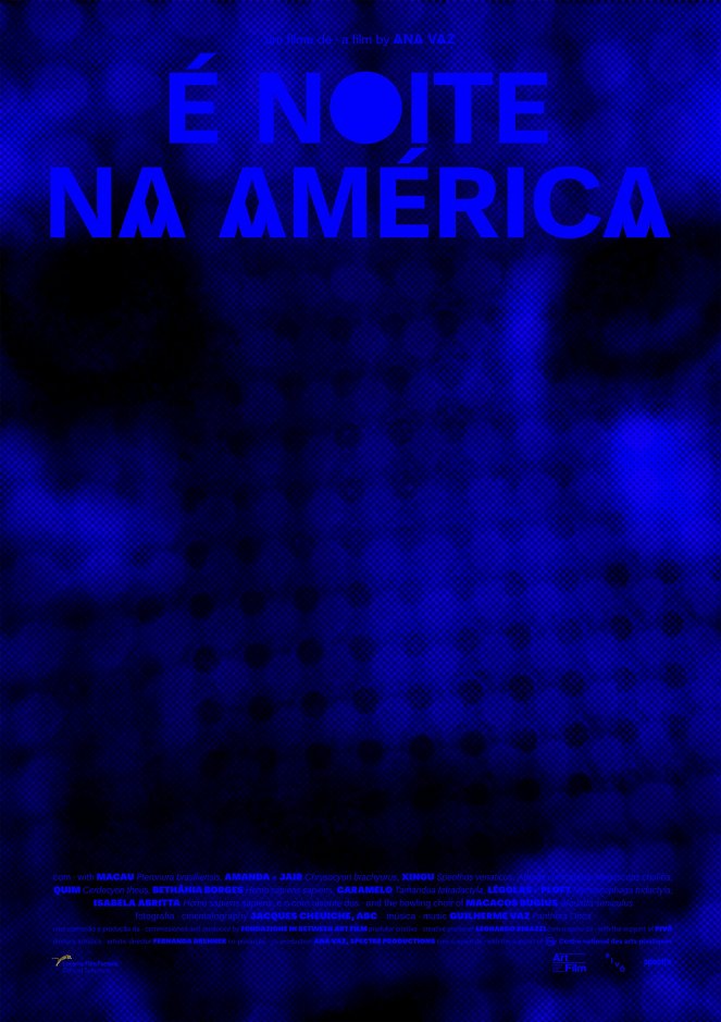 Il fait nuit en Amérique - Plakate