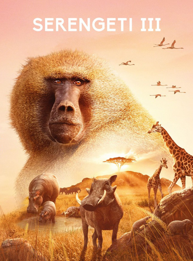 Serengeti - Season 3 - Posters