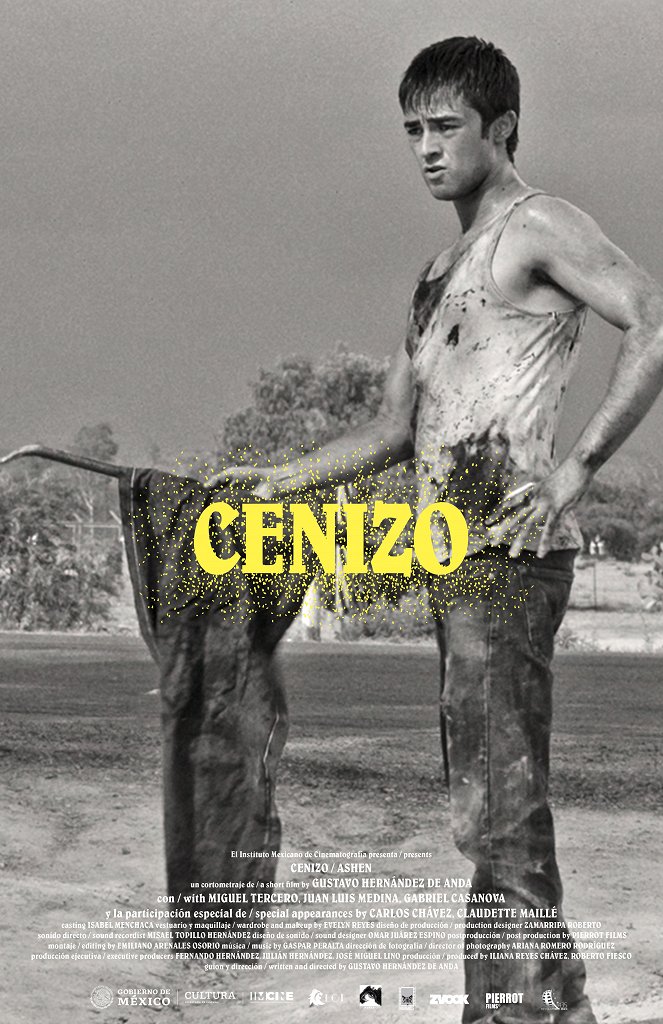 Cenizo - Posters