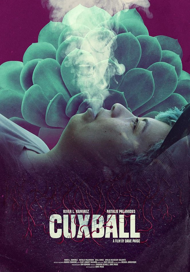Cuxball - Affiches
