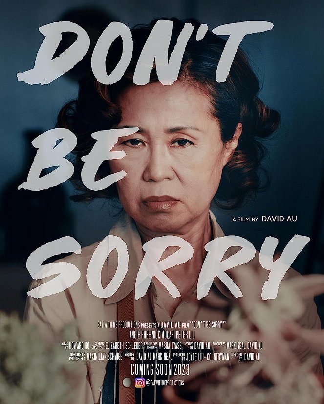 Don't Be Sorry - Plakátok