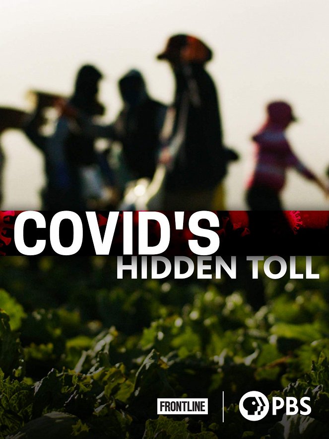 Frontline - COVID's Hidden Toll - Plagáty
