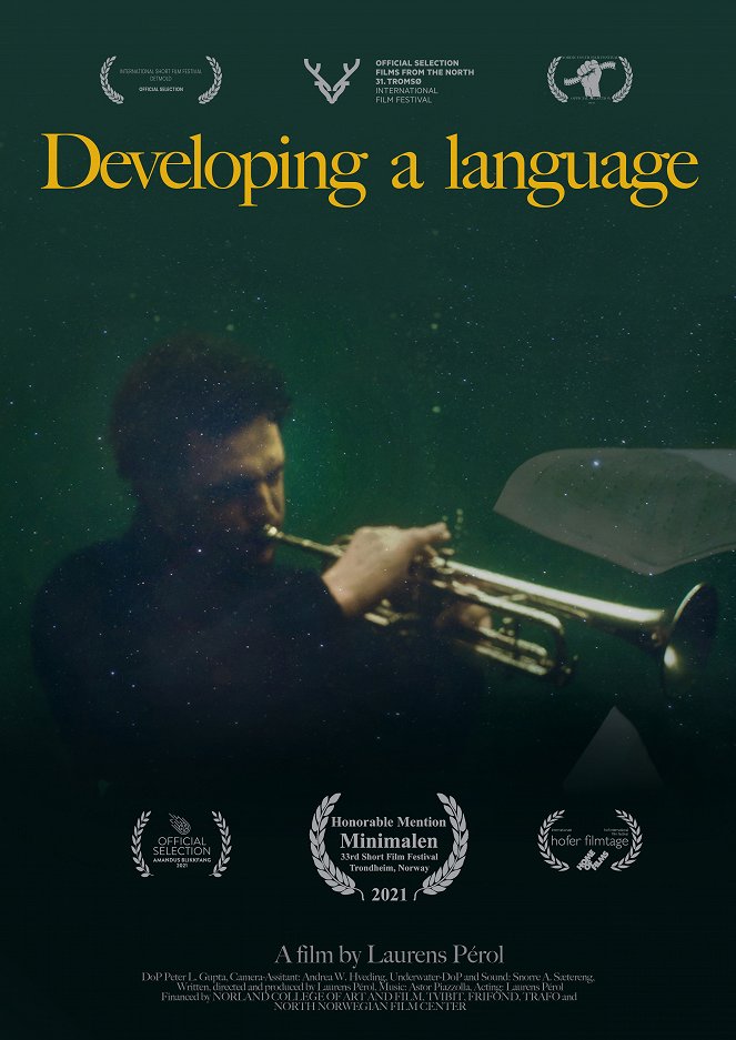 Utvikling av et språk - Plakátok