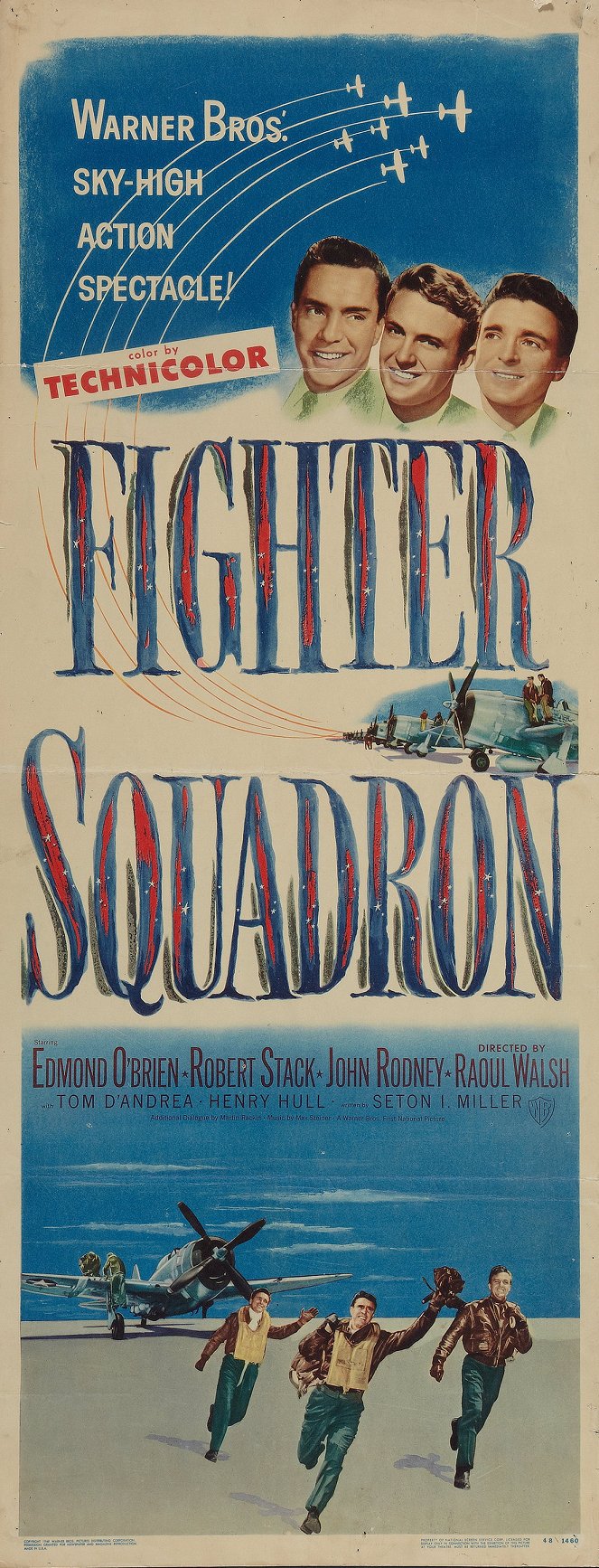 Fighter Squadron - Plakate