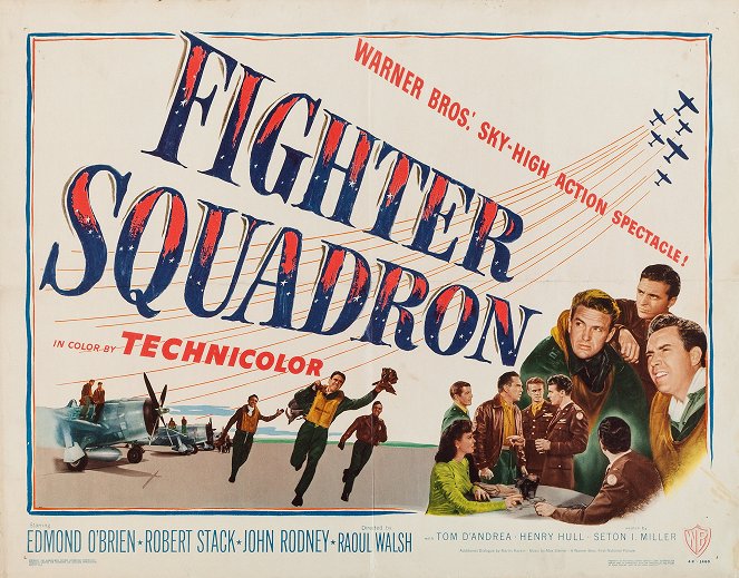 Fighter Squadron - Plagáty