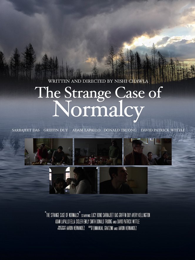 The Strange Case of Normalcy - Plakáty