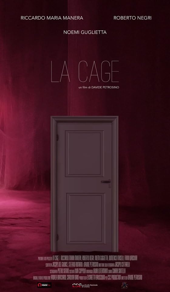 La cage - Plakáty