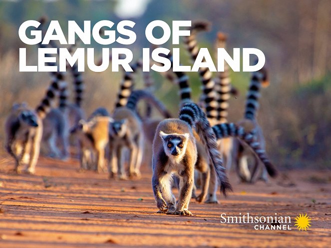 Gangs of Lemur Island - Posters
