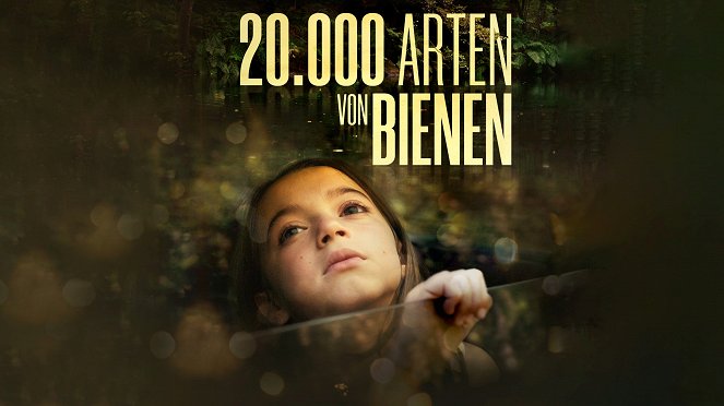 20.000 Arten von Bienen - Plakate