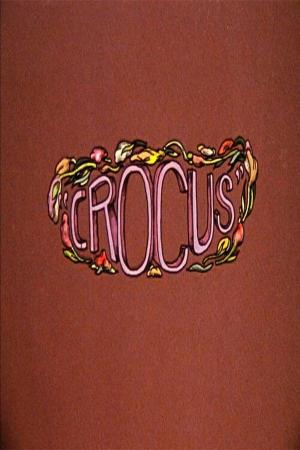 Crocus - Affiches