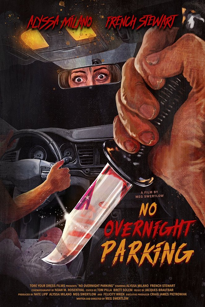 No Overnight Parking - Plakáty