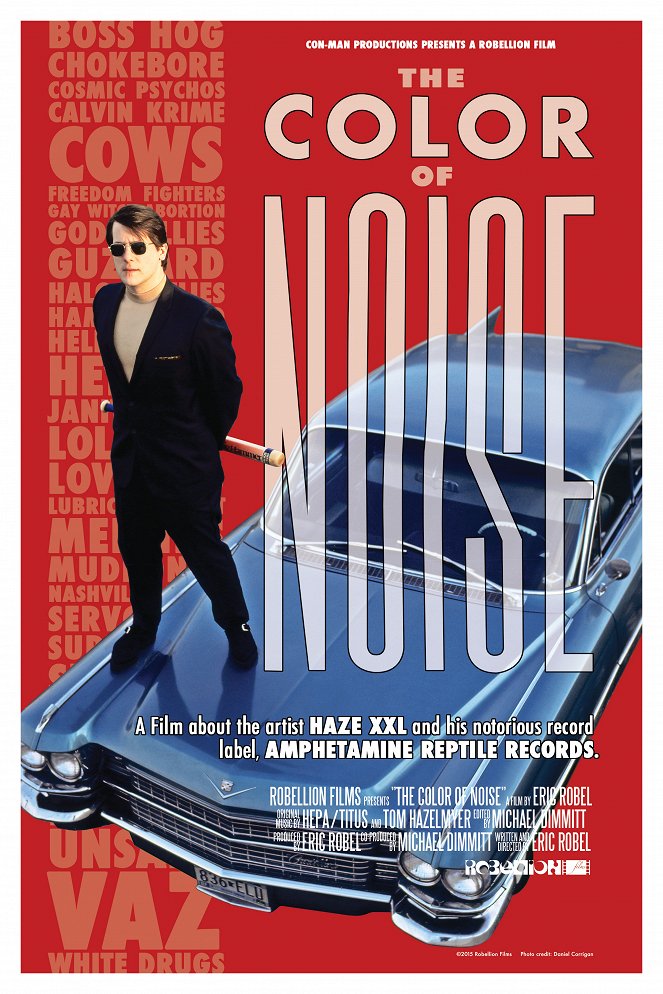 The Color of Noise - Posters