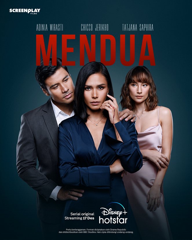 Mendua - Plagáty