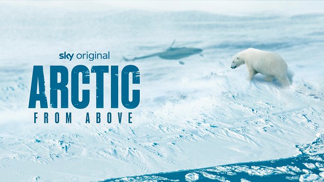 Arctic from Above - Plakaty