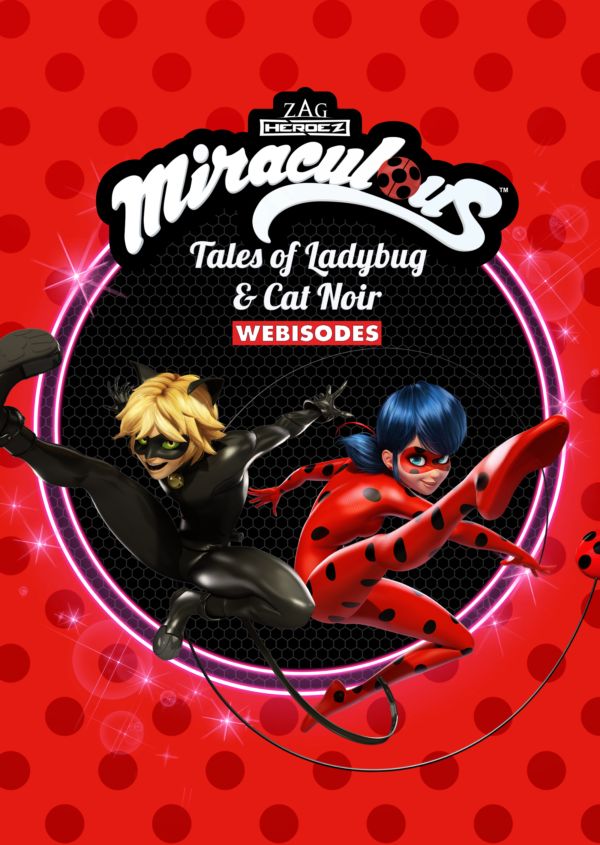 Miraculous Secrets - Posters