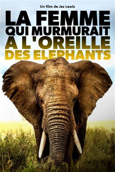 Elephant Mother - Posters