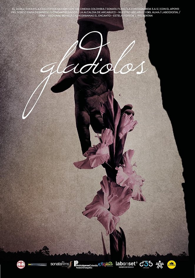 Gladiolos - Plakátok