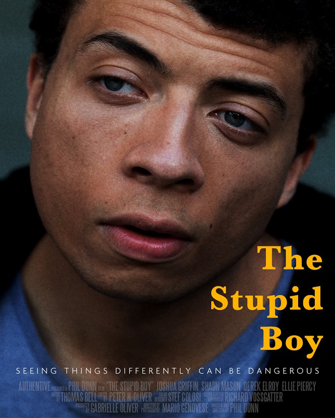 The Stupid Boy - Posters