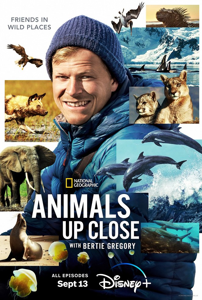 Animals Up Close with Bertie Gregory - Plakate