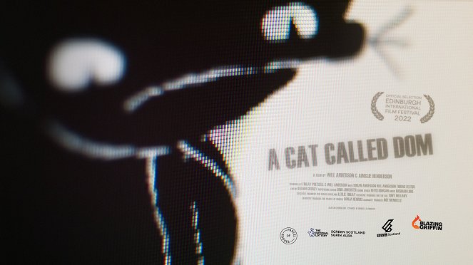 A Cat Called Dom - Plakate