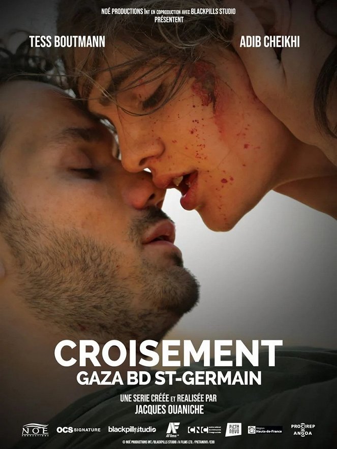 Croisement Gaza - Bd St Germain - Carteles