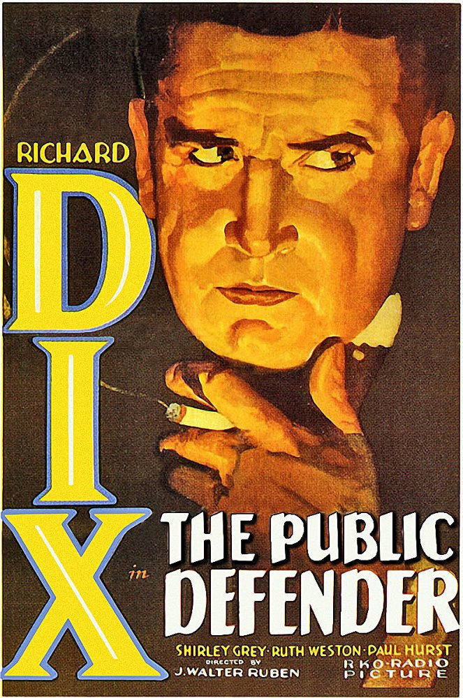 The Public Defender - Affiches